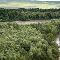 Протока и река Кубань :: Игорь Сикорский