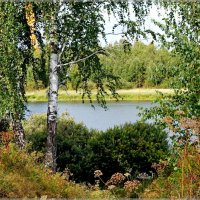 У озера :: Сергей Швечков