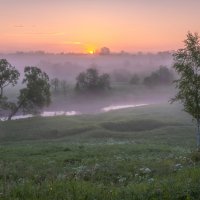**** :: Елизавета .
