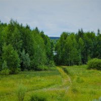 Ядрин. Дорога к центральной части озера Сергач. :: Пётр Чернега