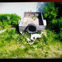 Детство, у прицепа. :: Игорь Солдаткин