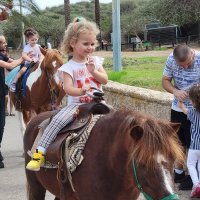 В парке у реки :: Светлана Хращевская