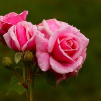 И было утро :: Юрий. Шмаков