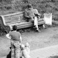 /// :: Виктор Никитенко