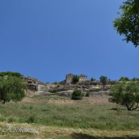 Природа Крыма :: Amazing Cosmea