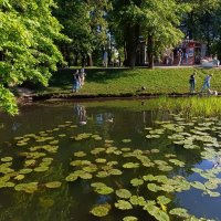 пруд в парке :: Галина R...