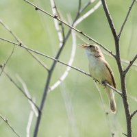 *** :: Виктор Иванович Чернюк *** :: Виктор Иванович Чернюк