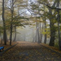 В осеннем парке..... :: Юрий Цыплятников