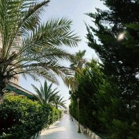 Турецкая жизнь... :: Георгиевич 