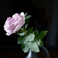 *** :: Валентина Береснева