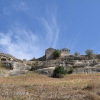 Природа Крыма :: Amazing Cosmea Природа Крыма :: Amazing Cosmea