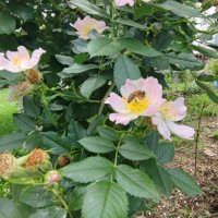 ,,, :: Сергей Тимоновский