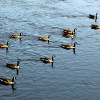 Эскадра :: Юрий. Шмаков