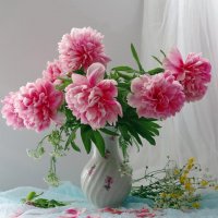 Моли любимые пионы :: Ирина Баскакова