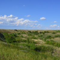 В степи. :: Виктор 