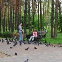 В парке,летом. :: Alex Matarykin