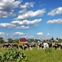 Дачная жизнь :: Николай Рубцов