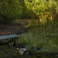 "Тенистый уголок с мостком у водоема"© :: Владимир Макаров