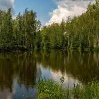 Июньское утро 5 :: Андрей Дворников