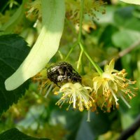 Во житуха! :: Егор Бабанов