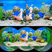 Аквариум в ростовском зоопарке :: Нина Бутко Аквариум в ростовском зоопарке :: Нина Бутко