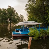 В половодье... :: Олег Дорошенко