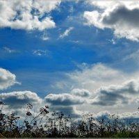 Круговорот :: Сергей Швечков