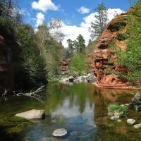 В заповеднике Государственный парк Слайд-Рок, Аризона, США. :: unix (Илья Утропов)