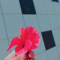 13  ОПЕН (107) :: OPEN WAYS ALL