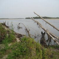 На острове :: Anna Ivanova