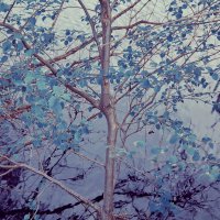 Назва. отсу. :: Денис Безногов