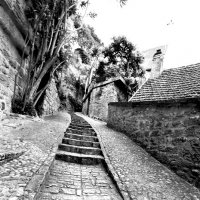 Лестница :: Michael M