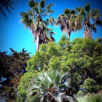 Барселона. :: Владимир Драгунский