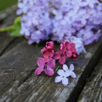 Сиреневая нотка :) :: Татьян@ Ивановна