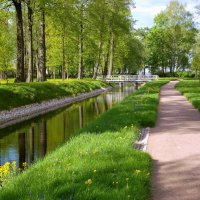 Весенние прогулки. :: VasiLina *