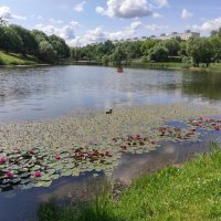 Пруд в Покровском парке :: Игорь Ч.