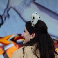 Ррррр. :: Наталья Вязигина