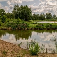 Июньское утро 6 :: Андрей Дворников