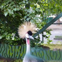 Портрет! :: Надежда 