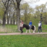 Стрельна. Орловский парк :: Наталья Герасимова