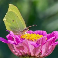 *** :: Виктор Иванович Чернюк *** :: Виктор Иванович Чернюк