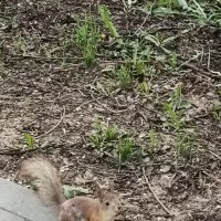 встреча :: Галина R...