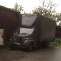 ГАЗон :: Сергей Уткин