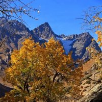 ПО ГОРАМ, осень. :: Виктор Осипчук