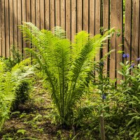 Мои окрестности. :: Петр Беляков Мои окрестности. :: Петр Беляков