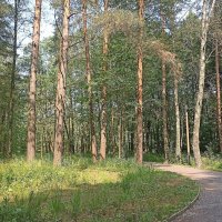 Июнь :: Татьяна Тюменка