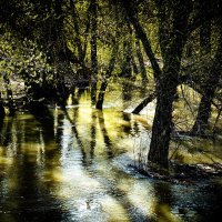 ПОЛОВОДЬЕ :: HART BAD