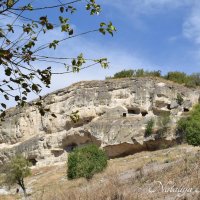 Природа Крыма :: Amazing Cosmea