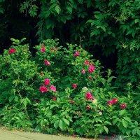 На закате :: Леонид leo На закате :: Леонид leo