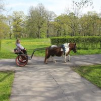 Стрельна. Орловский парк :: Наталья Герасимова